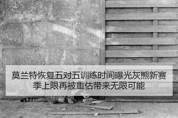 莫兰特恢复五对五训练时间曝光灰熊新赛季上限再被重估带来无限可能