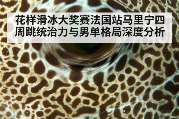 花样滑冰大奖赛法国站马里宁四周跳统治力与男单格局深度分析